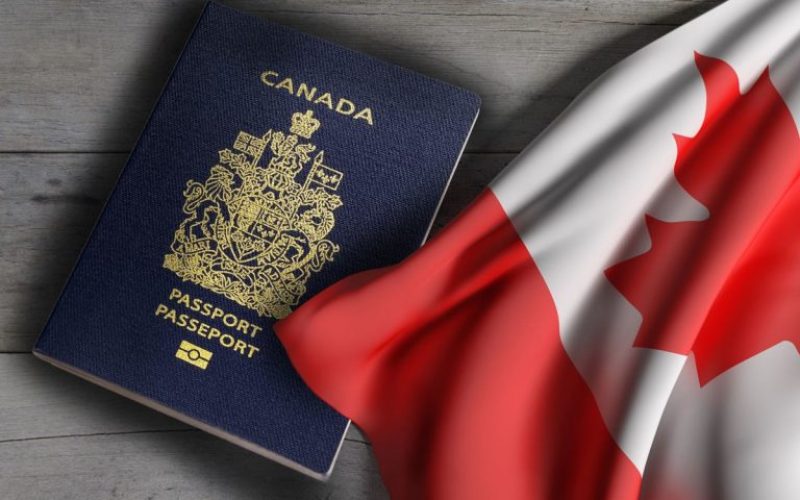 IMB-Immigration-Law-1-768x512-1